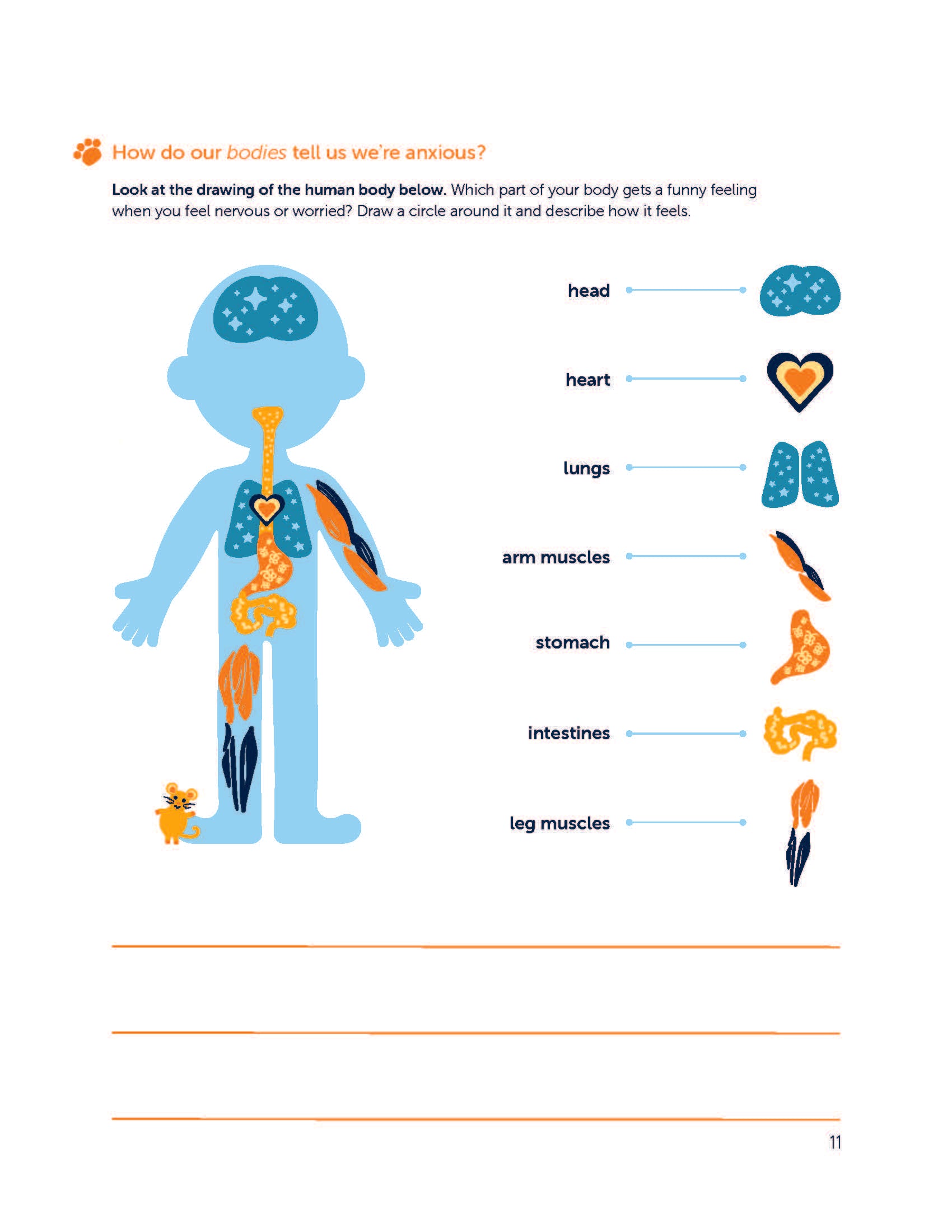 Brief Coping Cat: 8-Session Workbook, 2nd Edition (new colorful design)