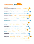 Brief Coping Cat: 8-Session Workbook, 2nd Edition (new colorful design)